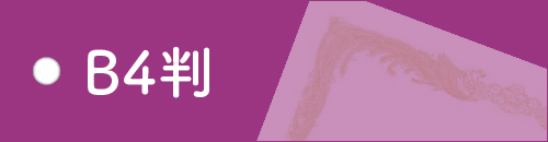 B4